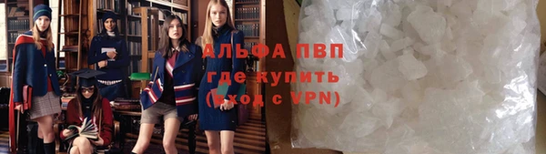 СК Аркадак