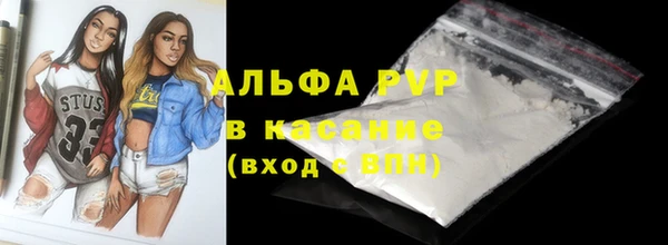 СК Аркадак