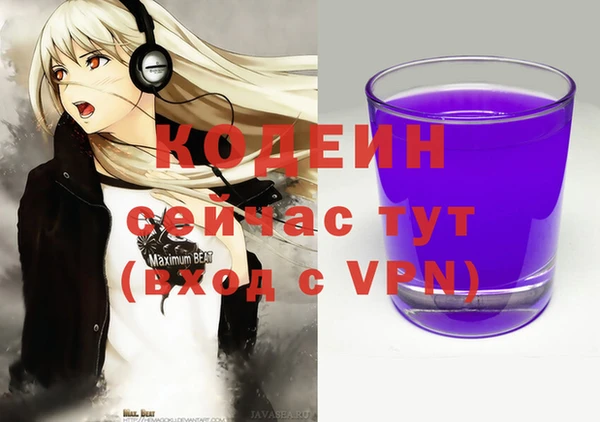 СК Аркадак